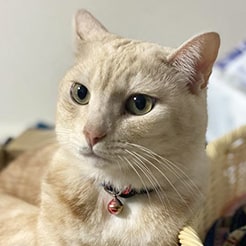 yuki